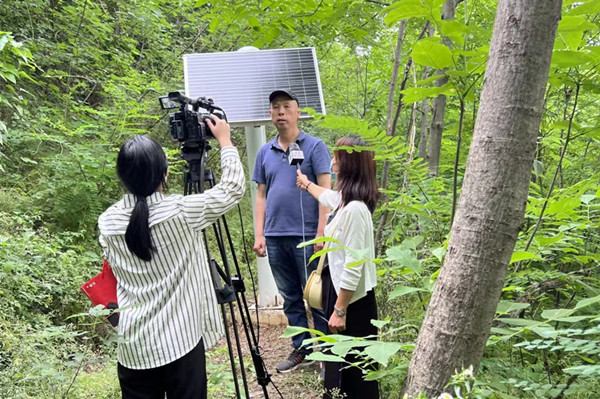 311653985392582724.jpeg 2_副本.jpg