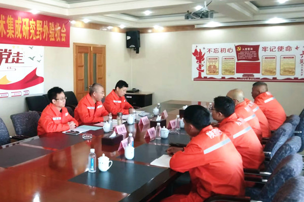 261682493813173235.jpeg 3.jpg