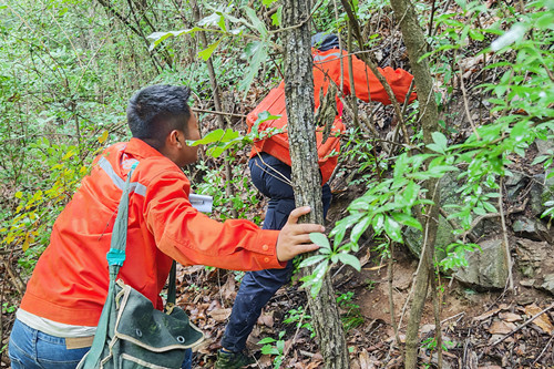 011751362081623002.jpeg 深地2.jpg