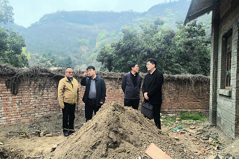 031775209805114454.jpeg 1.jpg